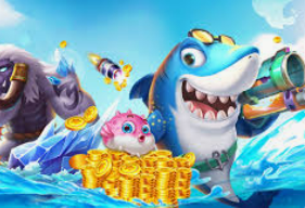 ky9555cc开元手机版